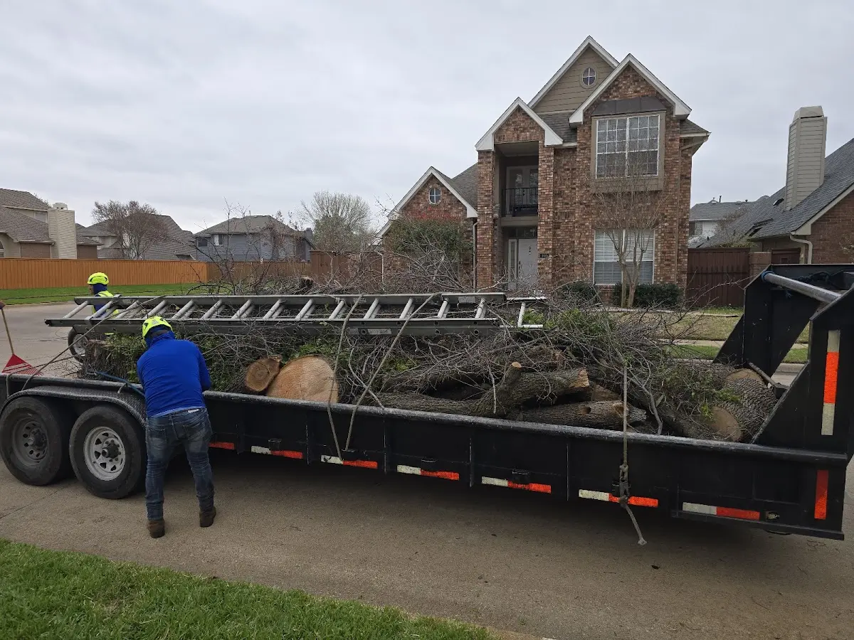 Expert Lot Clearing with proper safety equipment in Horse Branch